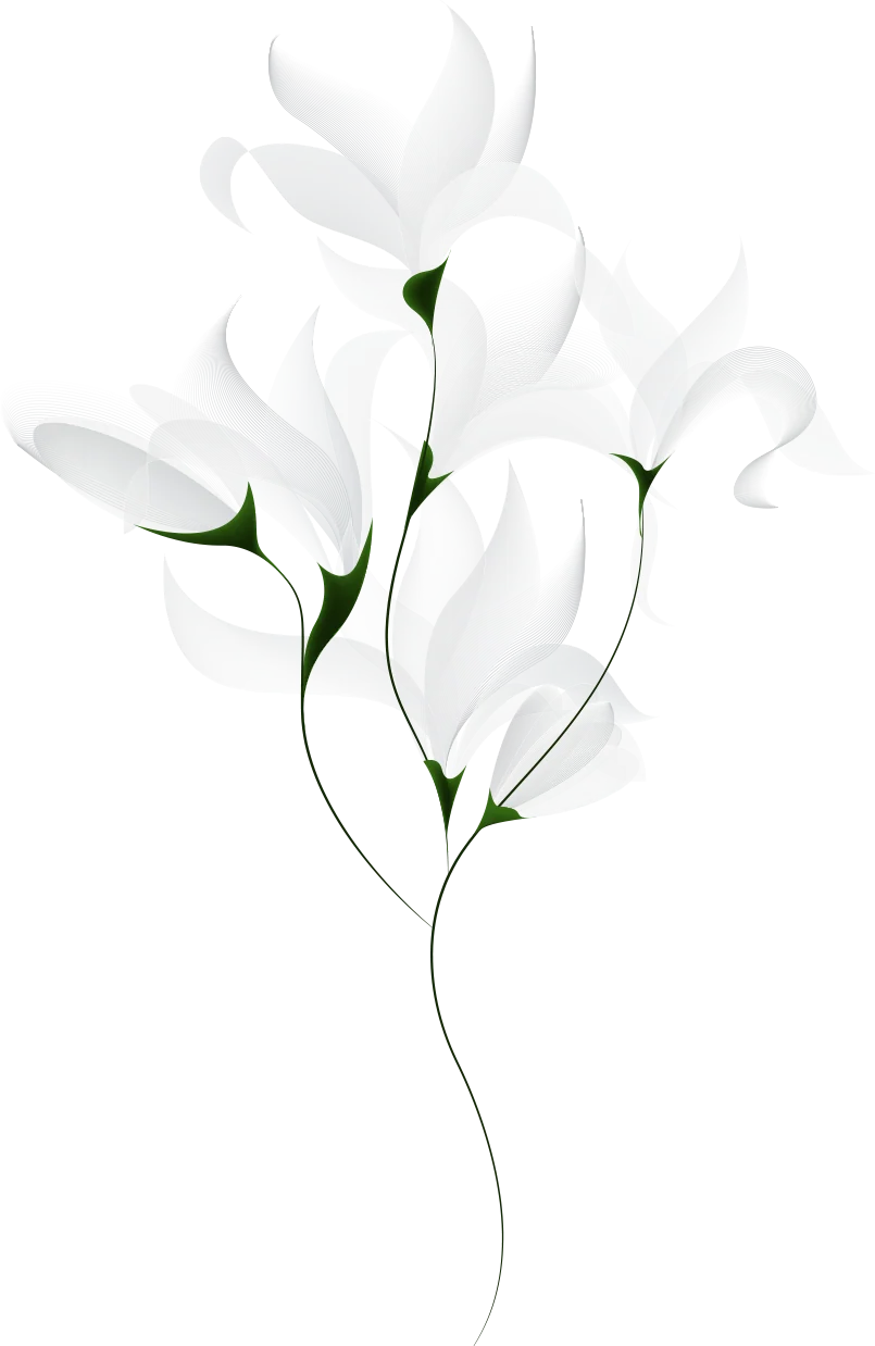 자스민 일러스트