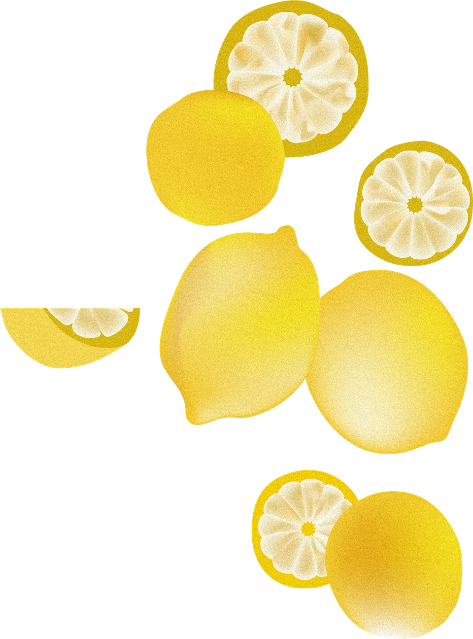 레몬 일러스트